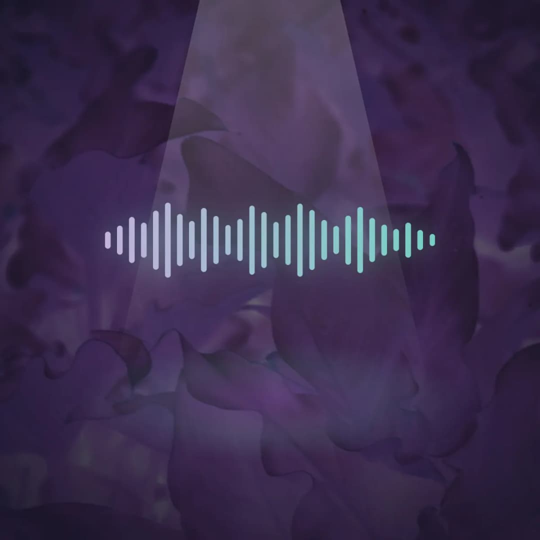 Resource banner for post 27: podcast engaged teams big data
